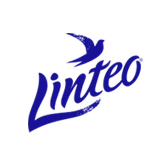 Logo linteo