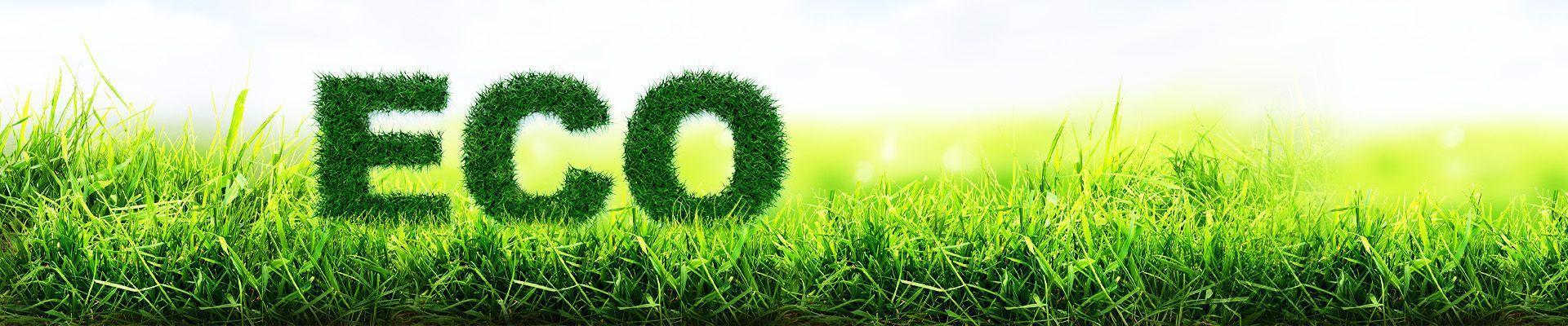 Slajd #1 napis eco z trawy