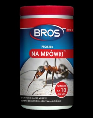 PROSZEK NA MRÓWKI